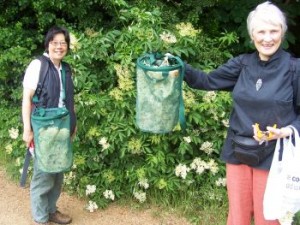 veronica and kirsten harvesting