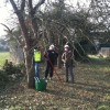 Walmer Gardens Orchard Pruning Day