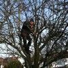 -3.5c and we were still up for pruning our West Ealing Orchard