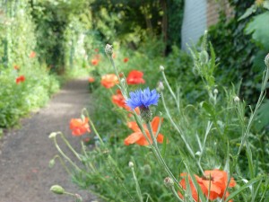 Radbourne Walk